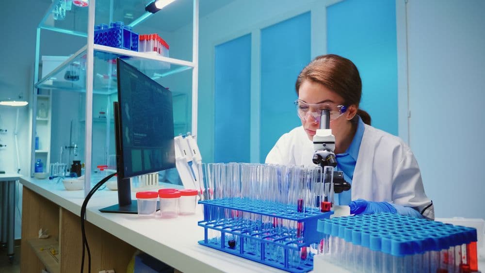 Online Randevu ve Sonuç Sorgulama